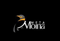 META MOINA collection image