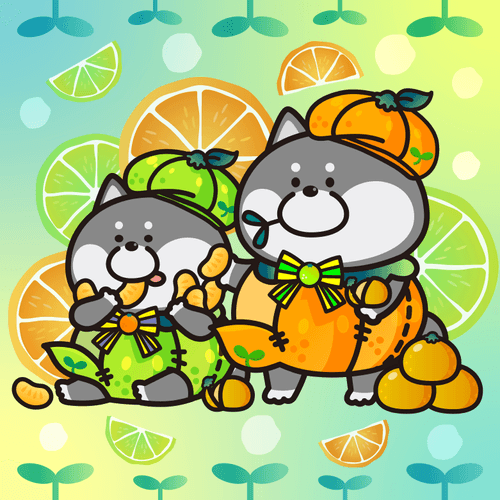 039 fresh oranges omame&okoge