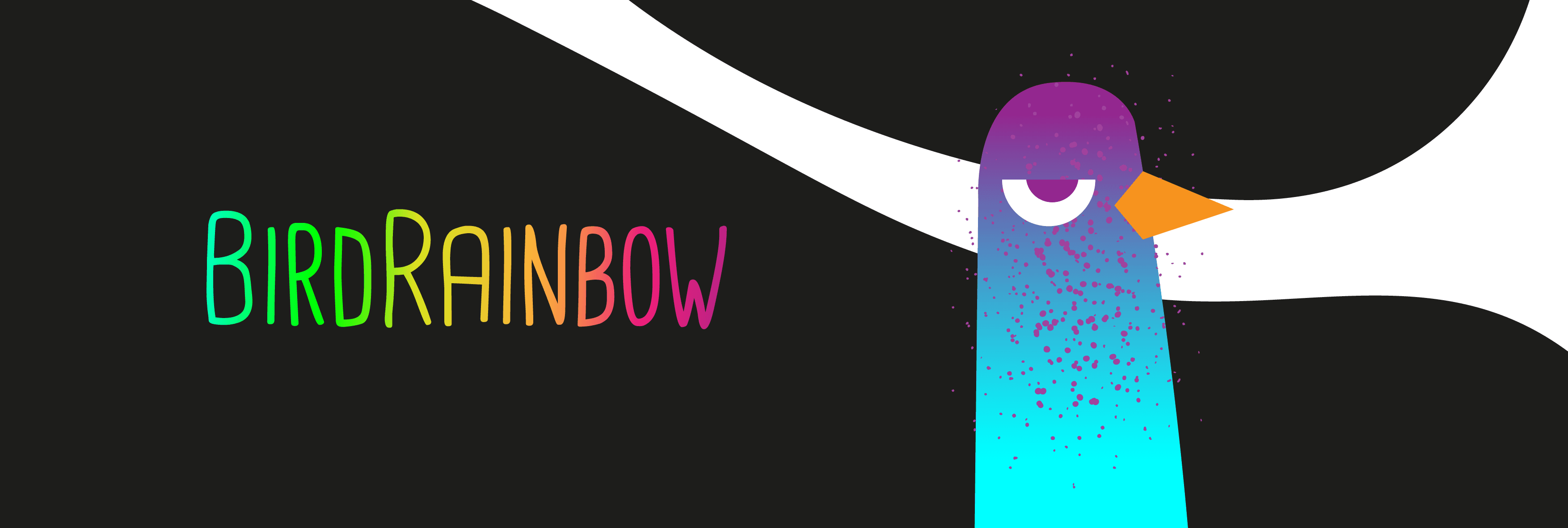 BirdRainbow banner
