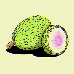 Breadfruit collection image