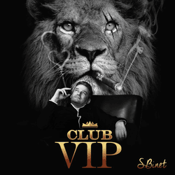 CARD VIP CLUB S.BINET collection image