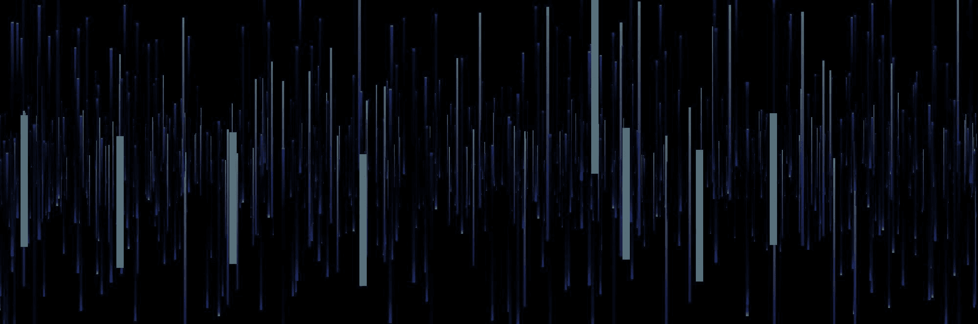 ruisiang banner