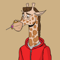 10FT GIRAFFES collection image