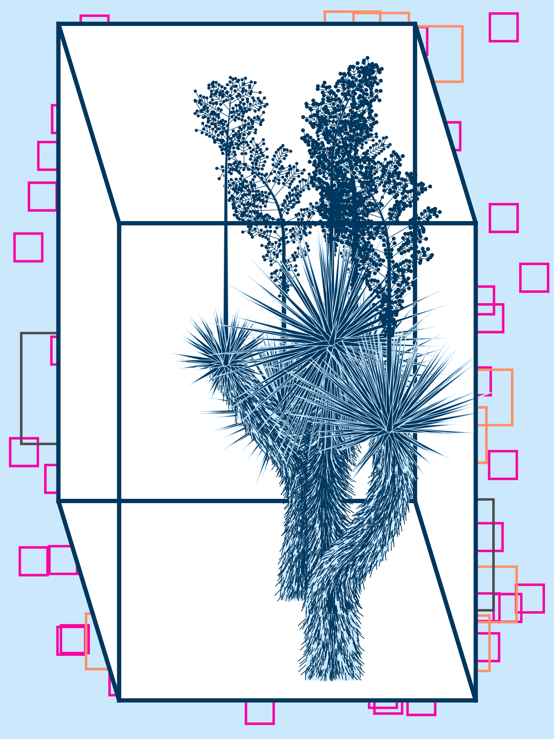 Marfa Yucca #173