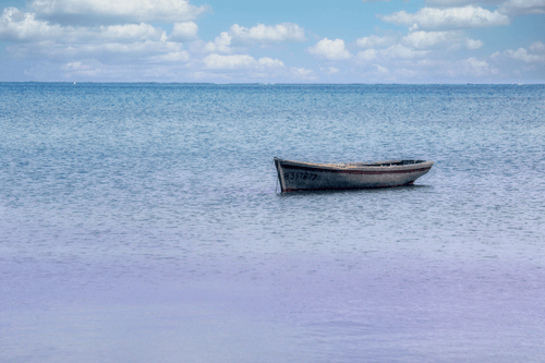 A Walk on the Beach with Eloise Robbertze