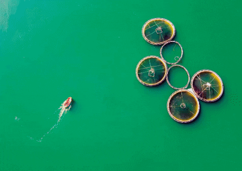 colorful view from above
