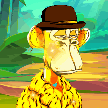 Monkey Fun Club collection image