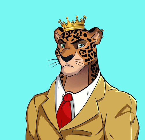 The Feline Club
