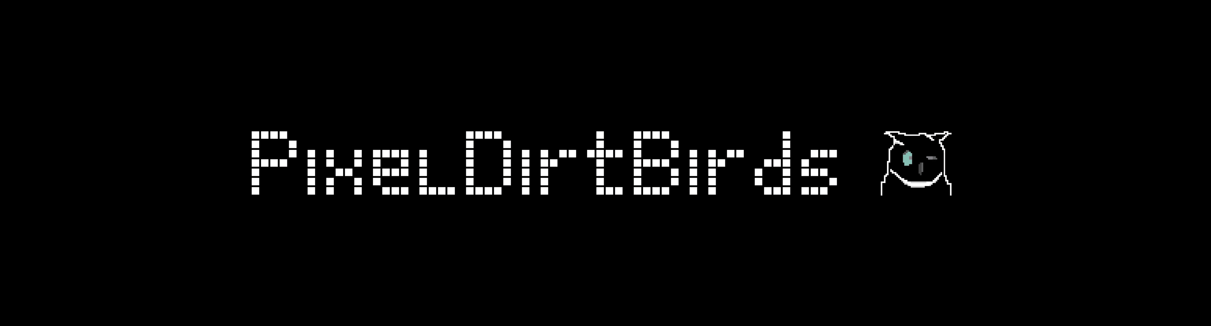 PixelDirtBirds banner