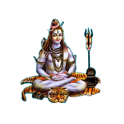 Shiva collection image