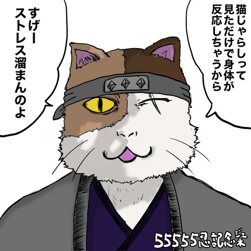 jarashi neko#37