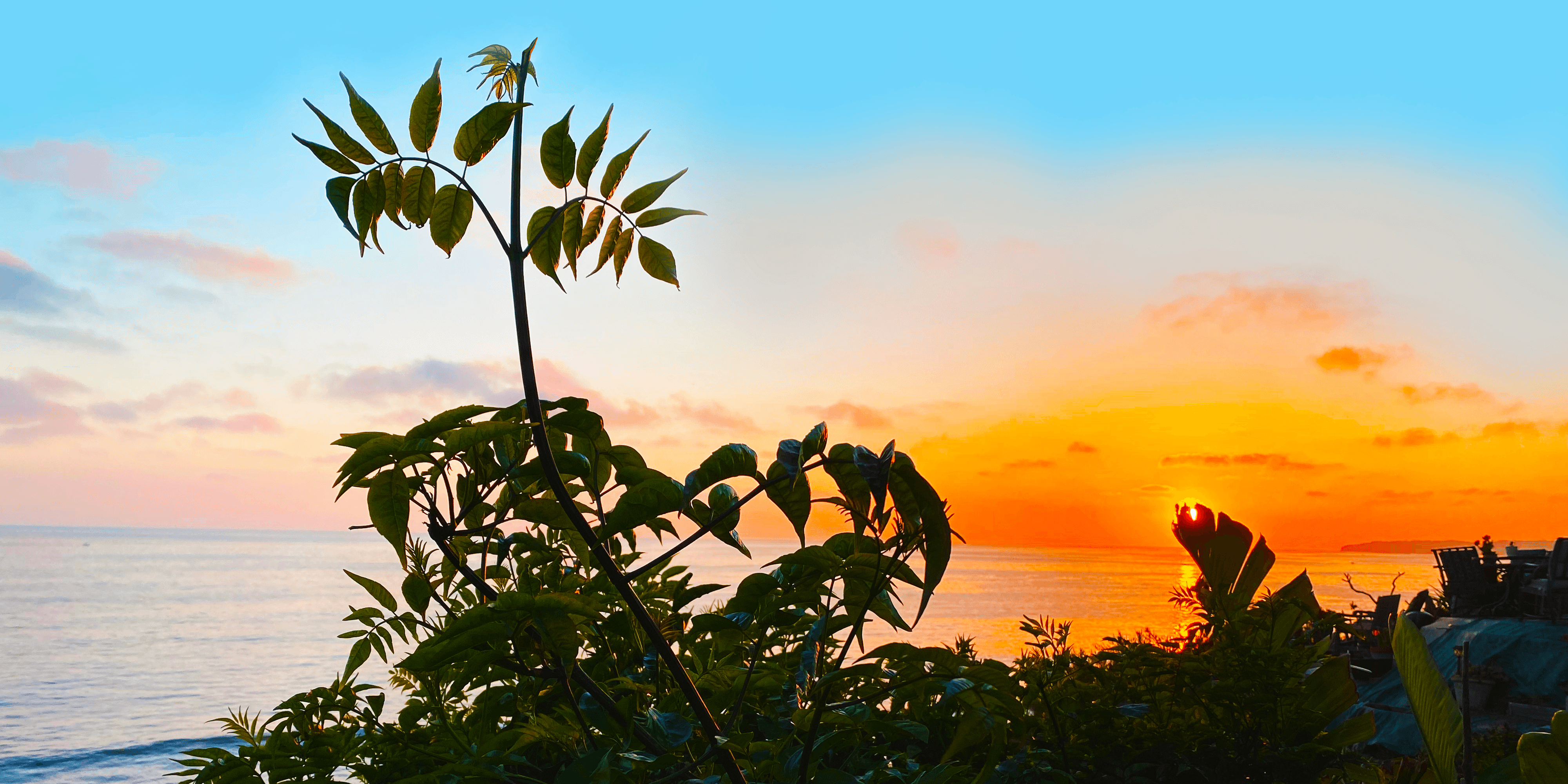 "Laguna Sunset from Thalia" 72"X36" / Photo - Digital / 2017 / Tribute to Sue