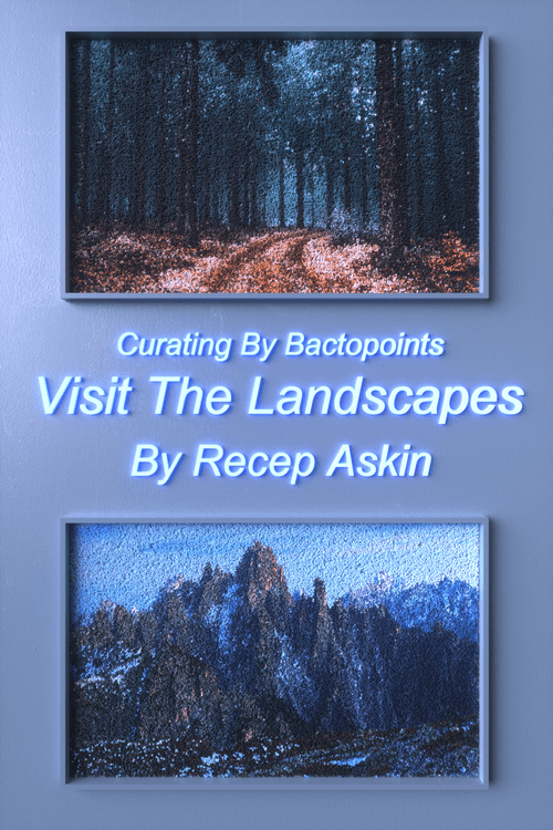 Visit the Landscapes