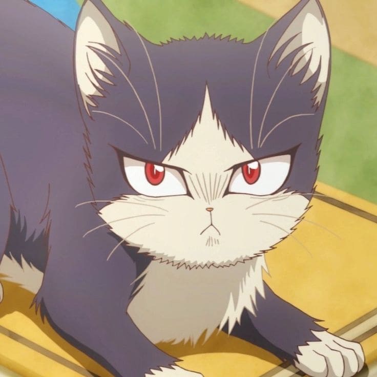 CatsClub
