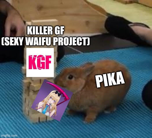 Pika's Bunny NFT Meme