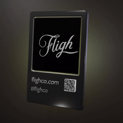 Fligh Pass NFT collection image