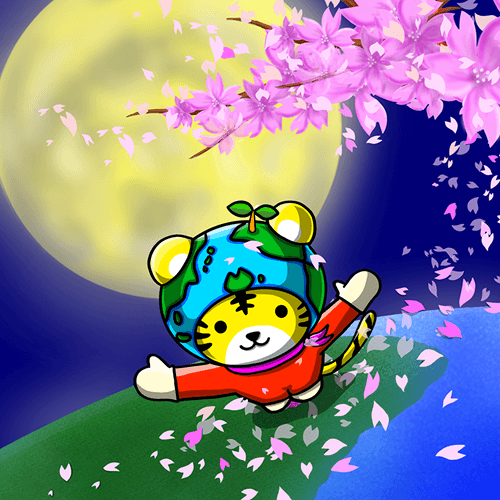 【to-ko】cherry blossoms at night