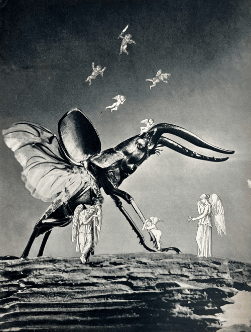 Beatle and Angels