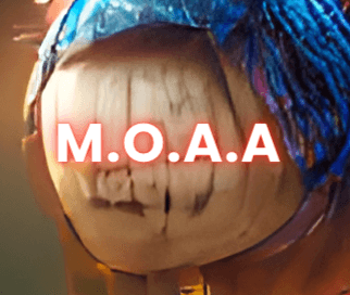 XCPinata's M.O.A.A