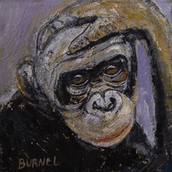 Bonobos Collection collection image