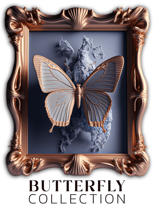 BUTTERFLY COLLECTION