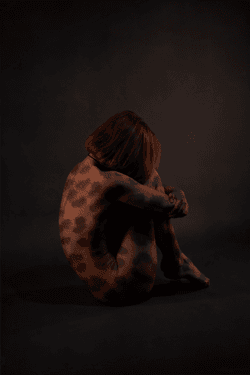 Nito Editions - Cheetah collection image
