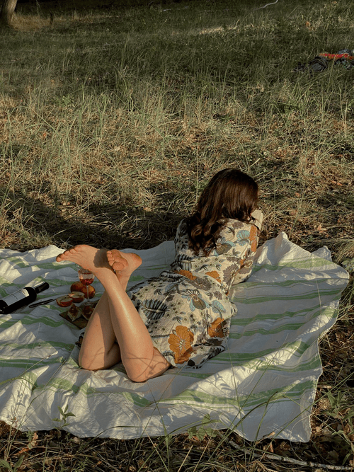 Picnic on the mountains