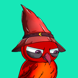 Wizard Owls collection image