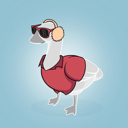 Honk #4454