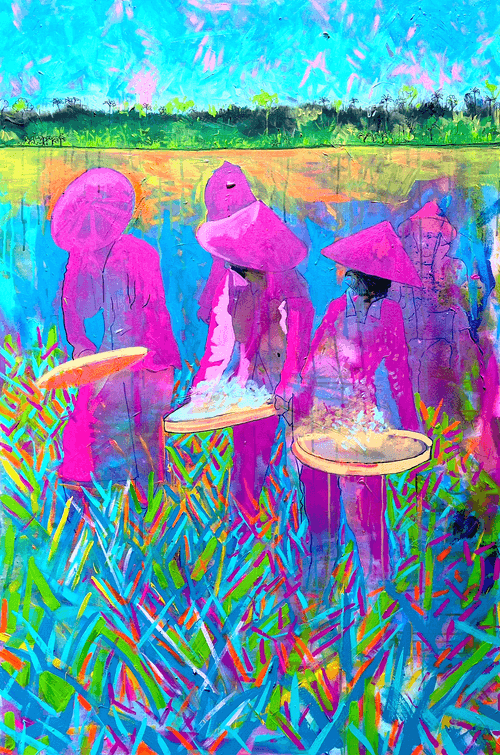 Rice field workers in the heat of the day