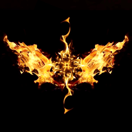 Phoenix #089