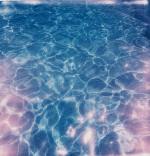 The Instant Photo Summer Society