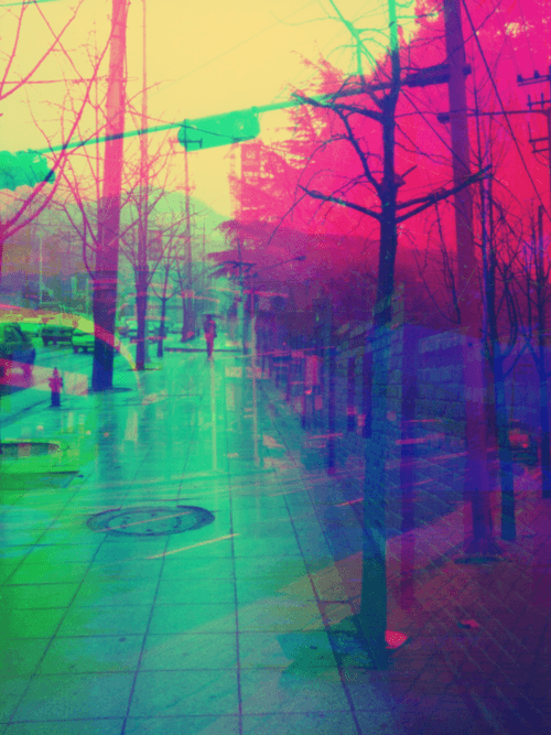 something akin to a daydream