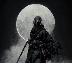 Samurai Ninja collection image