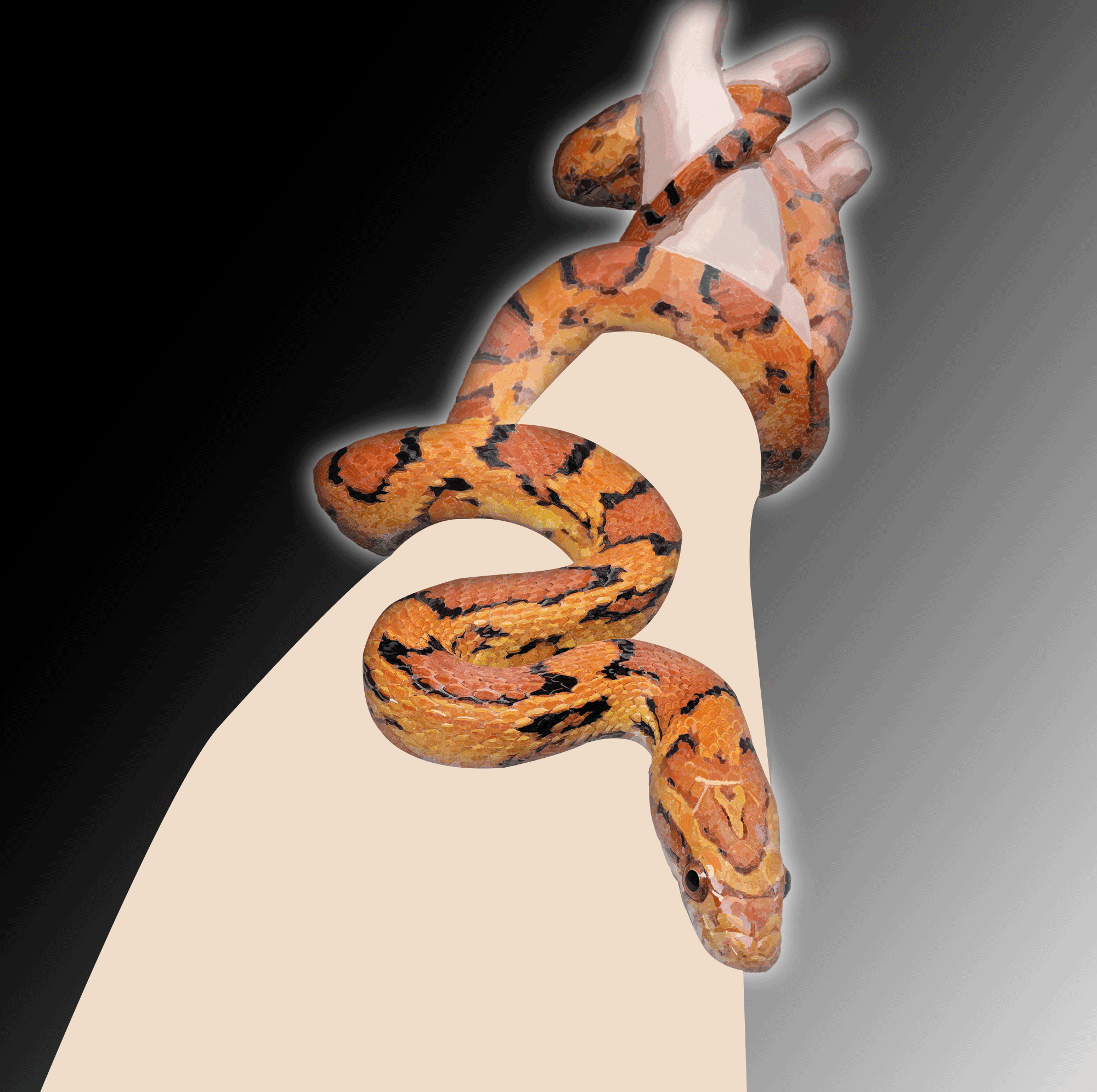 Snake Skin Tattoos by World of Fine Art