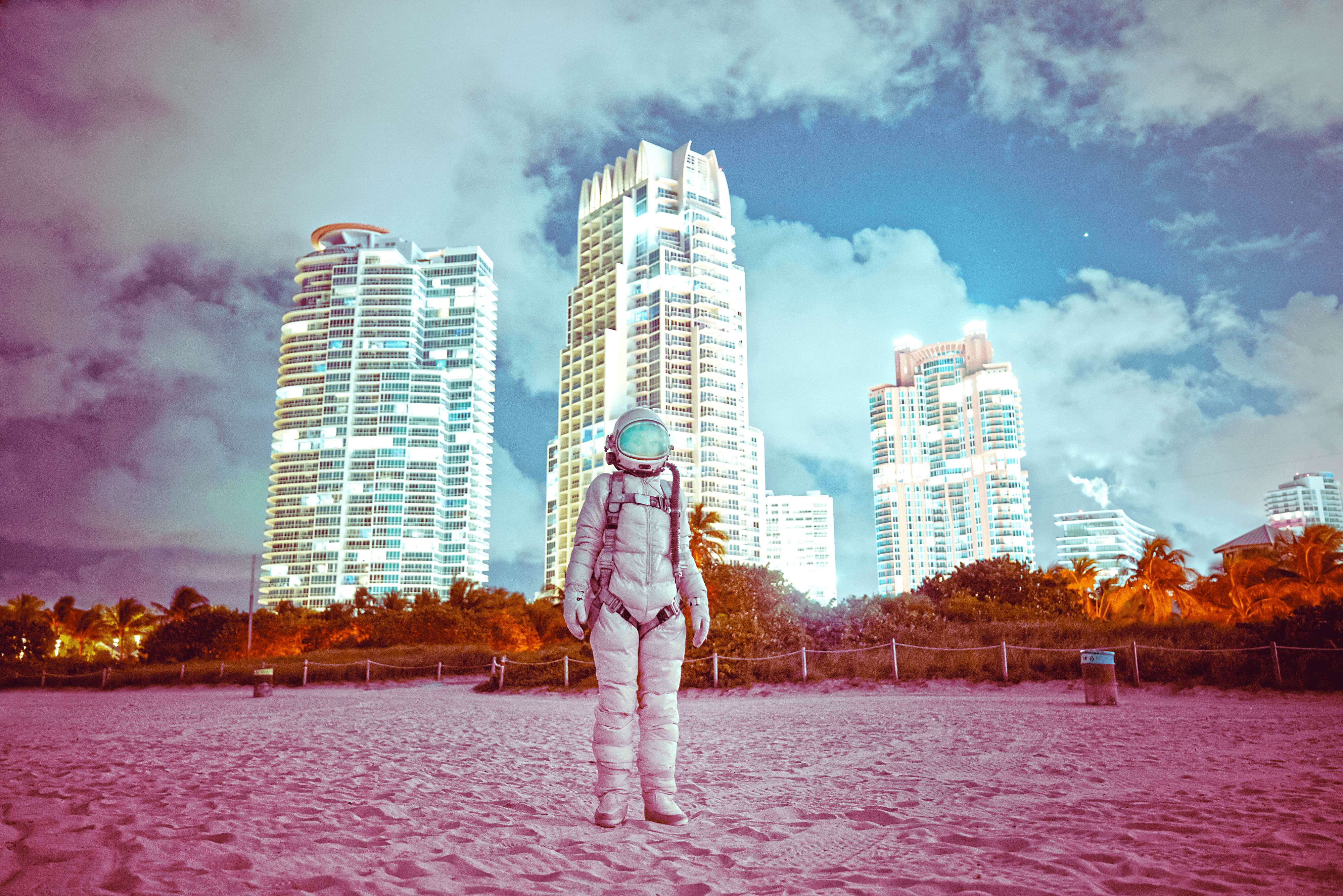 Midnight : Miami Skyline