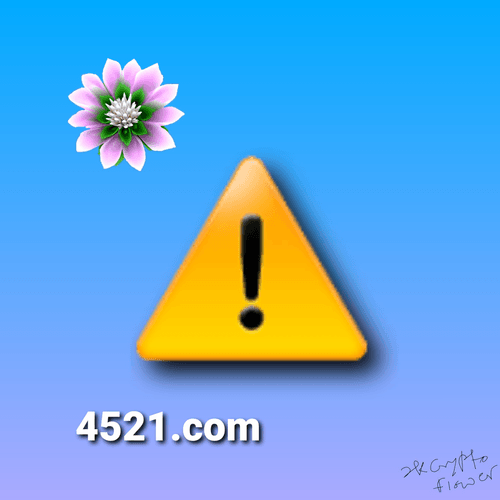 4521.com