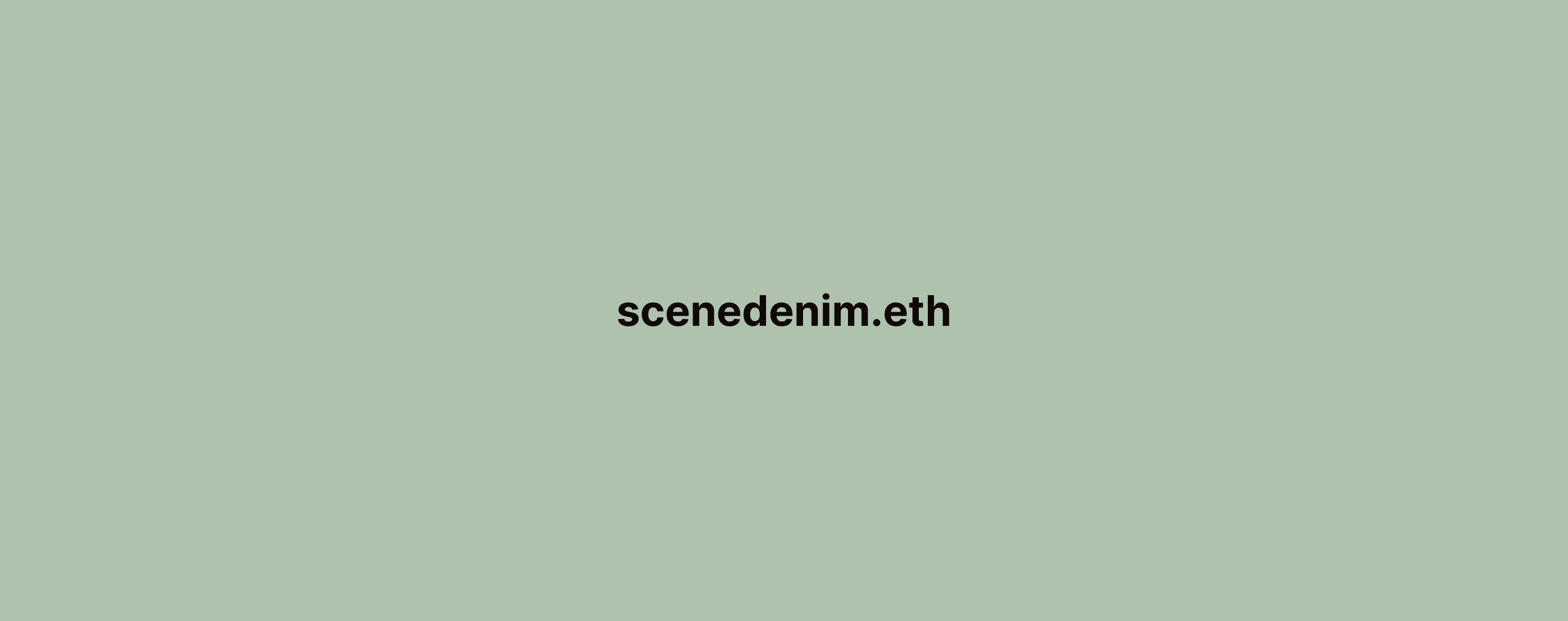 SceneDenim banner