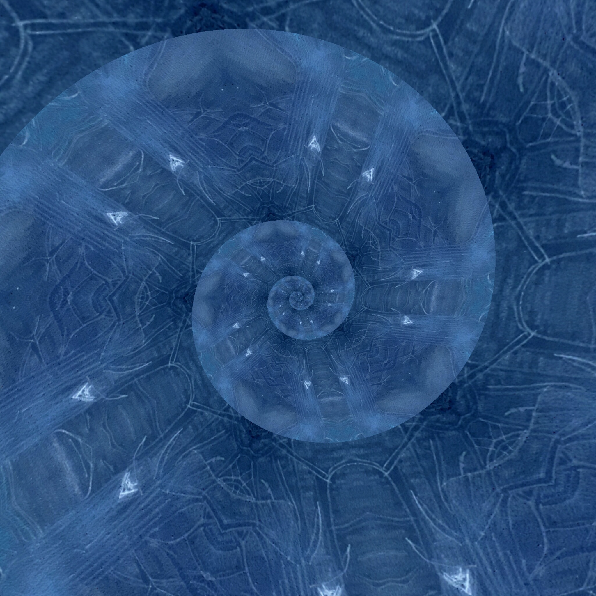 AlohaLosha_Art banner
