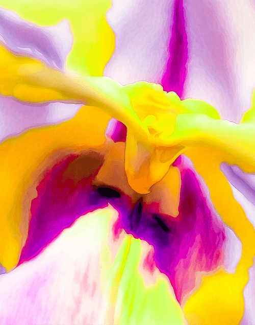 ORCHID 1