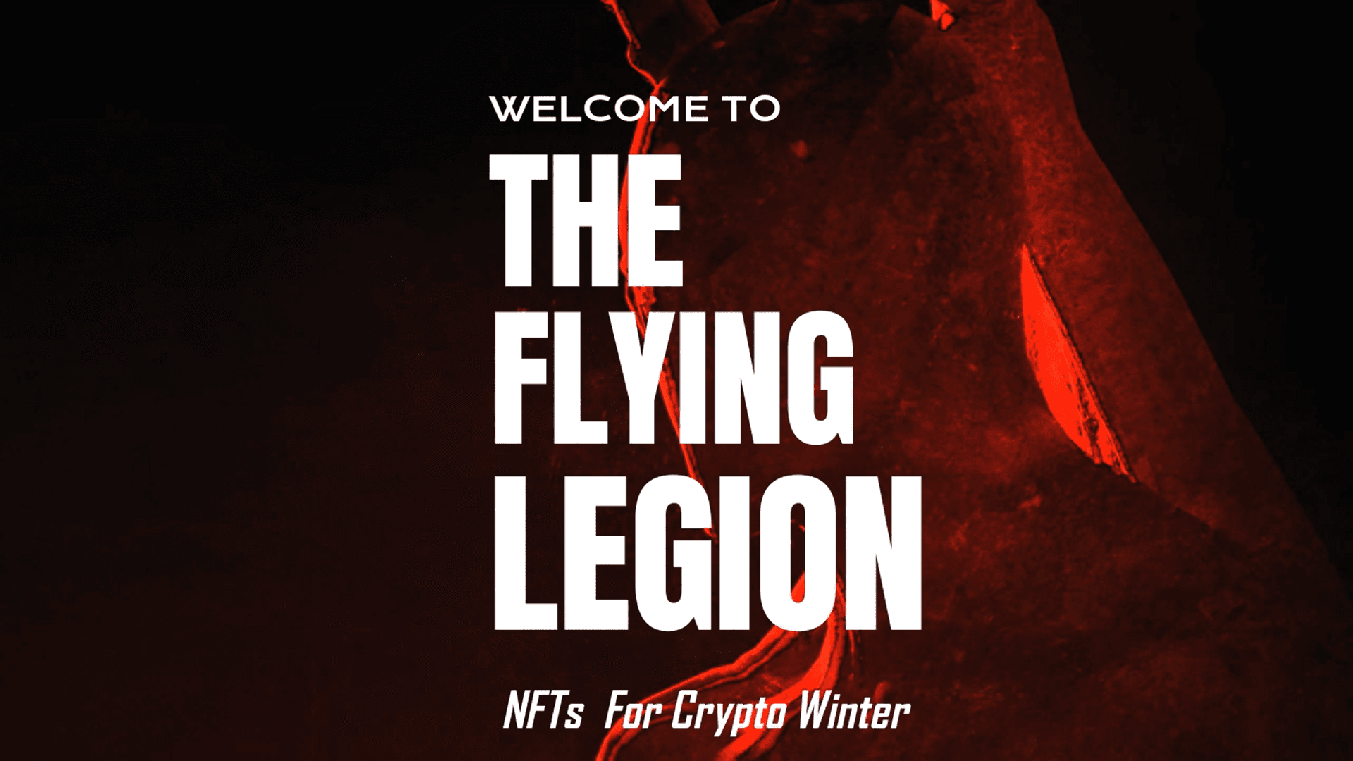 the_flying_legion banner