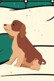 puppy