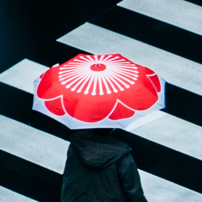 Multifaceted Tokyo Open Edition