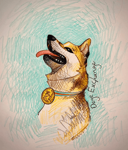 Doge Sketches collection image