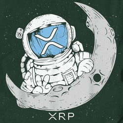 XRP TO THE MOON! collection image