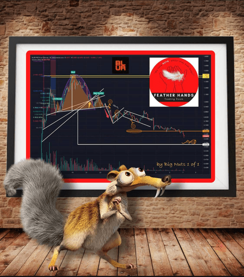 NUT Fungible Token #1