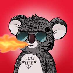 Koala Agent #3681