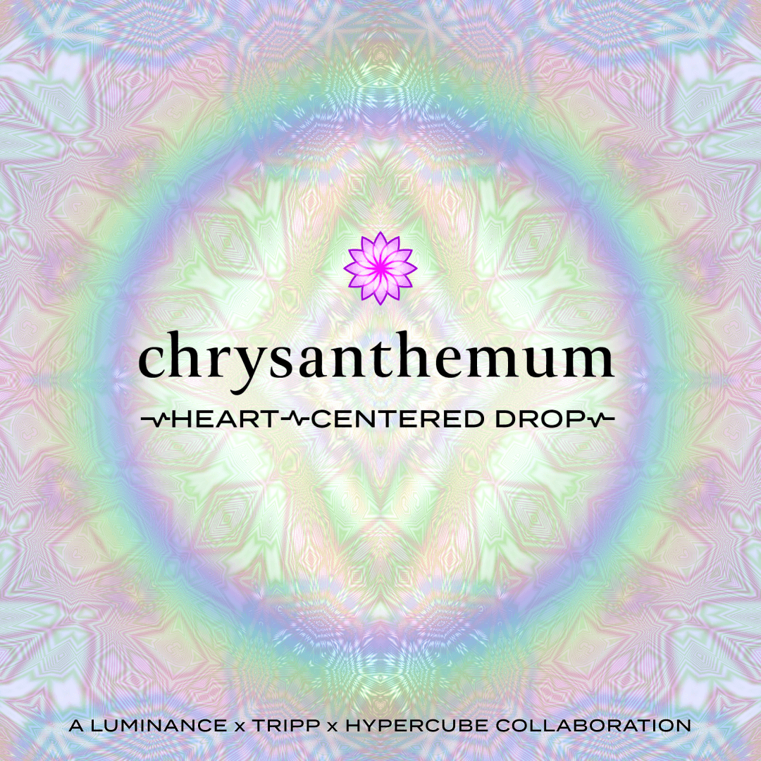 Chrysanthemum by Luminance x TRIPP