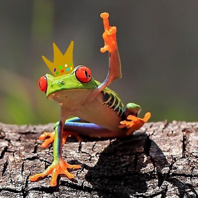 frogskinman