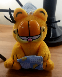 Sleepy Garfield in trip collection image